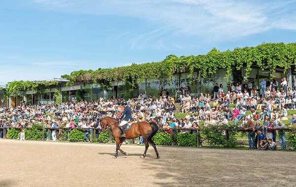 associacao_de_municipios_portugueses_do_cavalo
