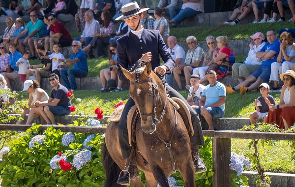 ponte_de_lima_vai_entrar_na_associacao_de_municipios_portugueses_do_cavalo