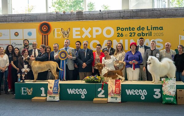 Fotografia do pódio da Expo Caninas 2025