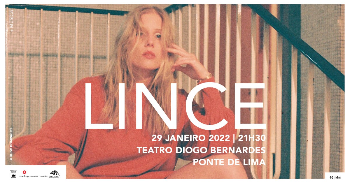 Lince banner 2 1 1200 800
